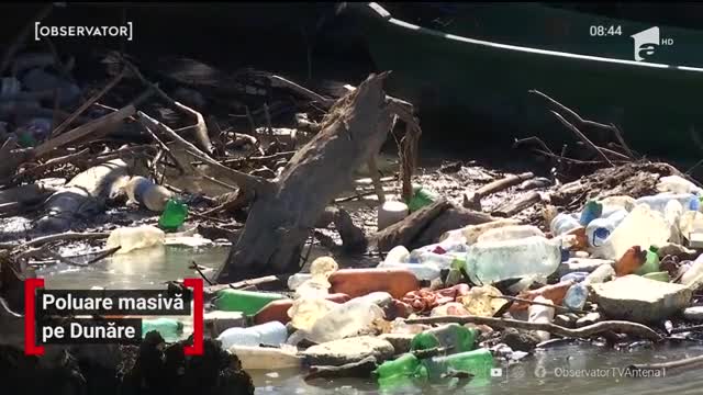 Poluare masivă pe Dunăre