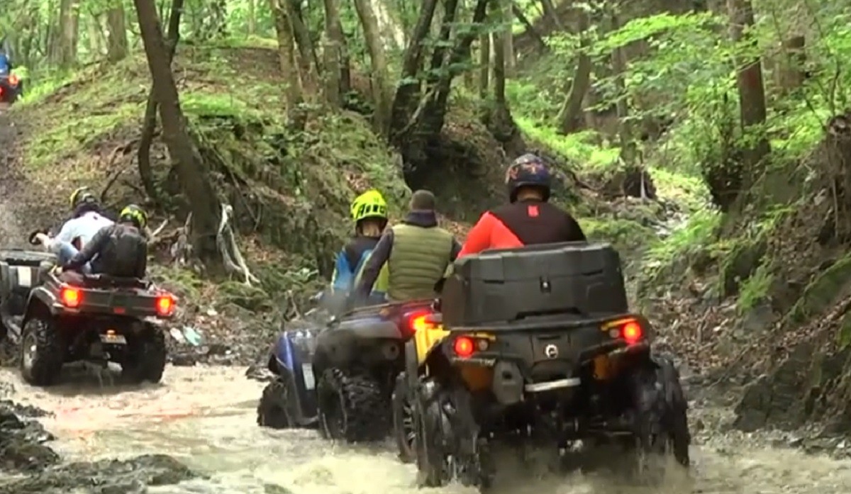 DistracÅ£ie Cu Atv Ul In PÄƒdure La Miercurea Sibiului