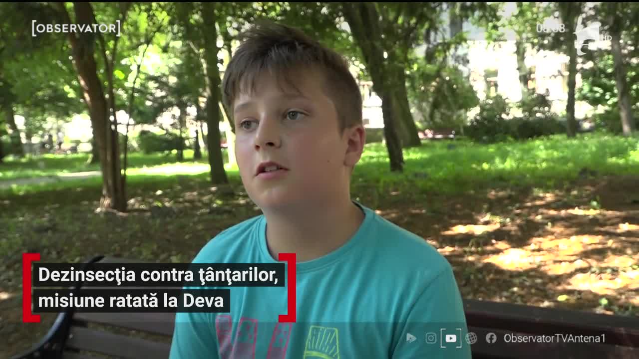 Dezinsecția contra ț&acirc;nțarilor, misiune ratată la Deva