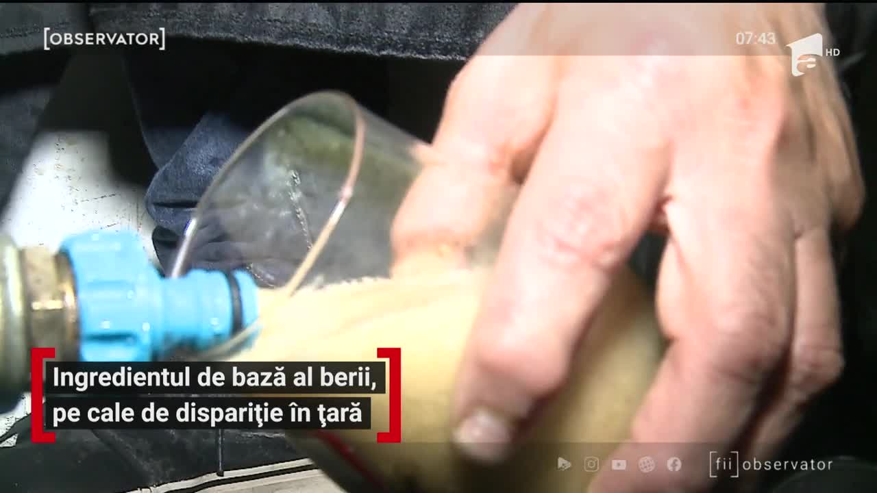 Ingredientul de bază al berii, pe cale de dispariție &icirc;n țară