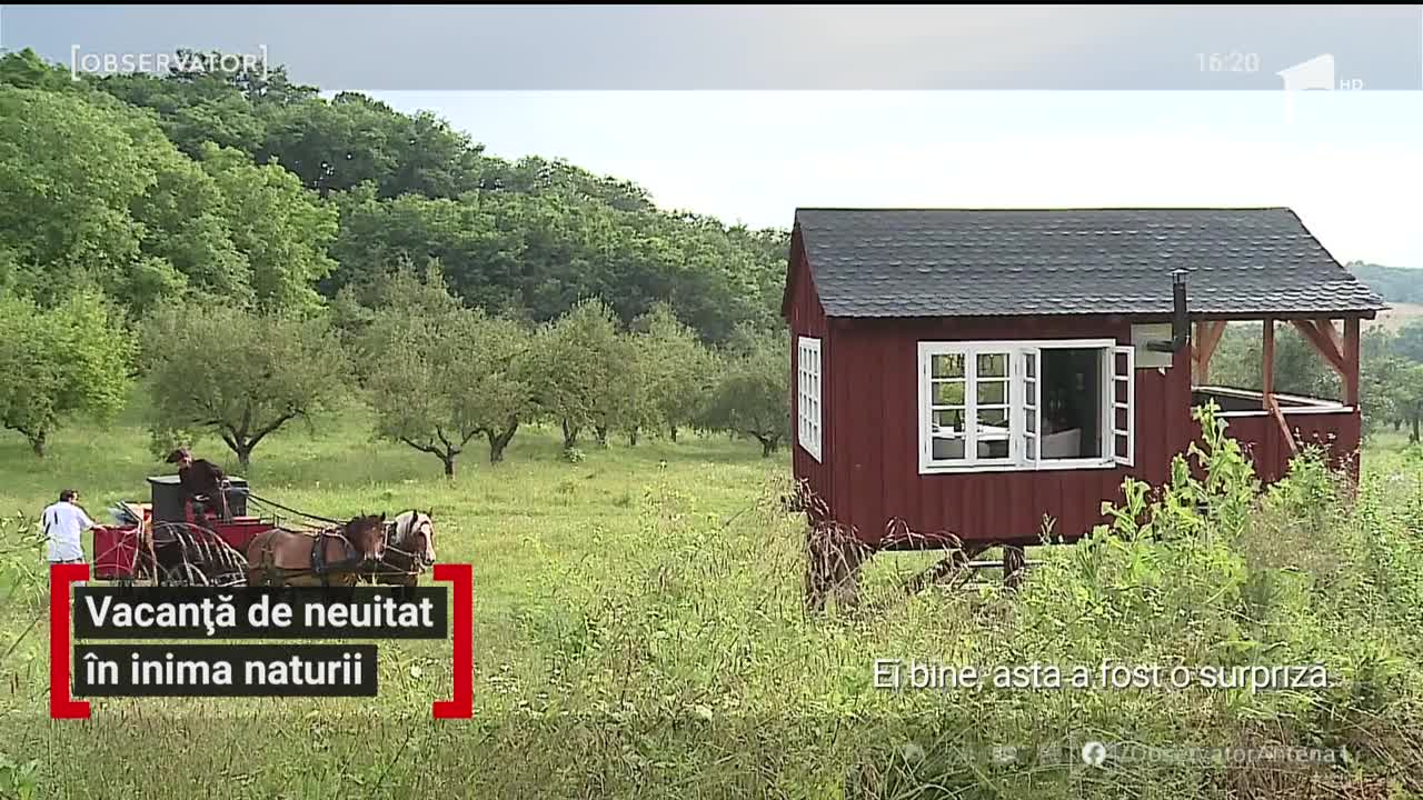 Vacanță de neuitat &icirc;n inima naturii