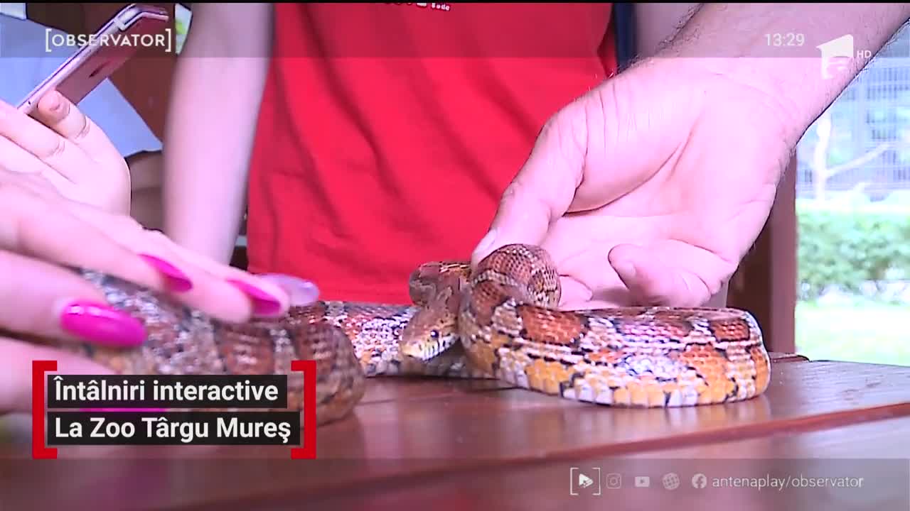 &Icirc;nt&acirc;lniri interactive la Zoo T&acirc;rgu Mureș