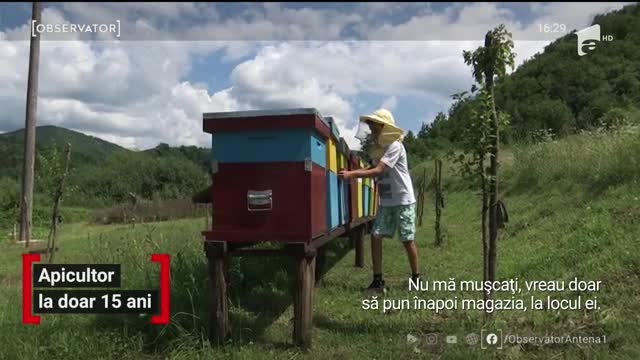 Apicultor la doar 15 ani
