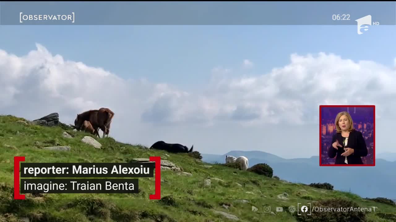 Alexandra Marcu, alpinista care organizează &icirc;n mod regulat expediţii pe piscuri &icirc;nsoţită de copii