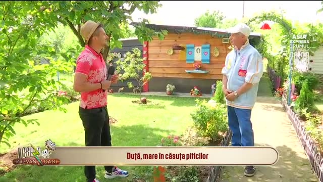 &Icirc;n copilărie &icirc;ți doreai să stai &icirc;n căsuța piticilor? &Icirc;n Otopeni găsești renumita căsuță din povești construită de un pensionar