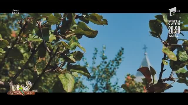 Viorica Macovei c&acirc;ntă, la Neatza, melodia "Satul meu din Bucovina"