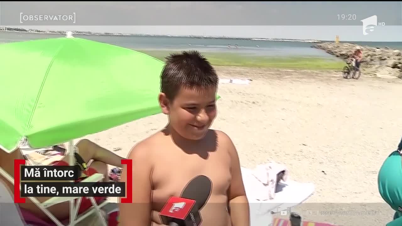 Turiştii care merg &icirc;n Mamaia dau testul mirosului. O mare de alge s-a revărsat pe plajă