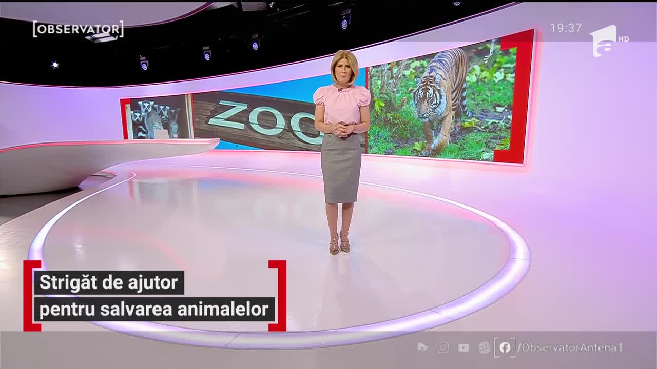Strigăt de ajutor pentru salvarea animalelor