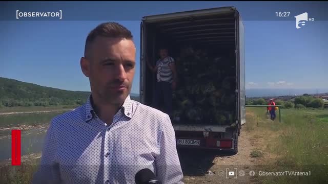 Gunoaiele de pe Jiu, pescuite din bărci
