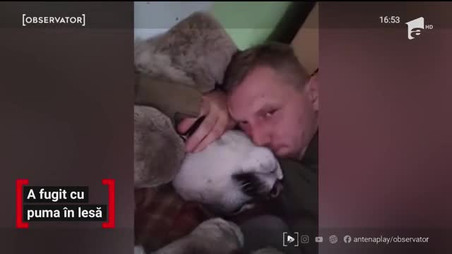 Un fost soldat a fost cel mai căutat om din Polonia. Bărbatul a fugit &icirc;ntr-o pădure cu o pumă
