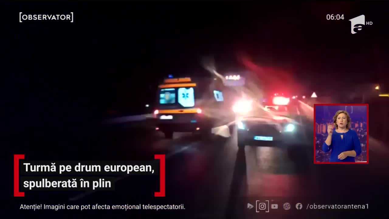 O turmă de oi a fost spulberată &icirc;n plin pe Drumul European 70