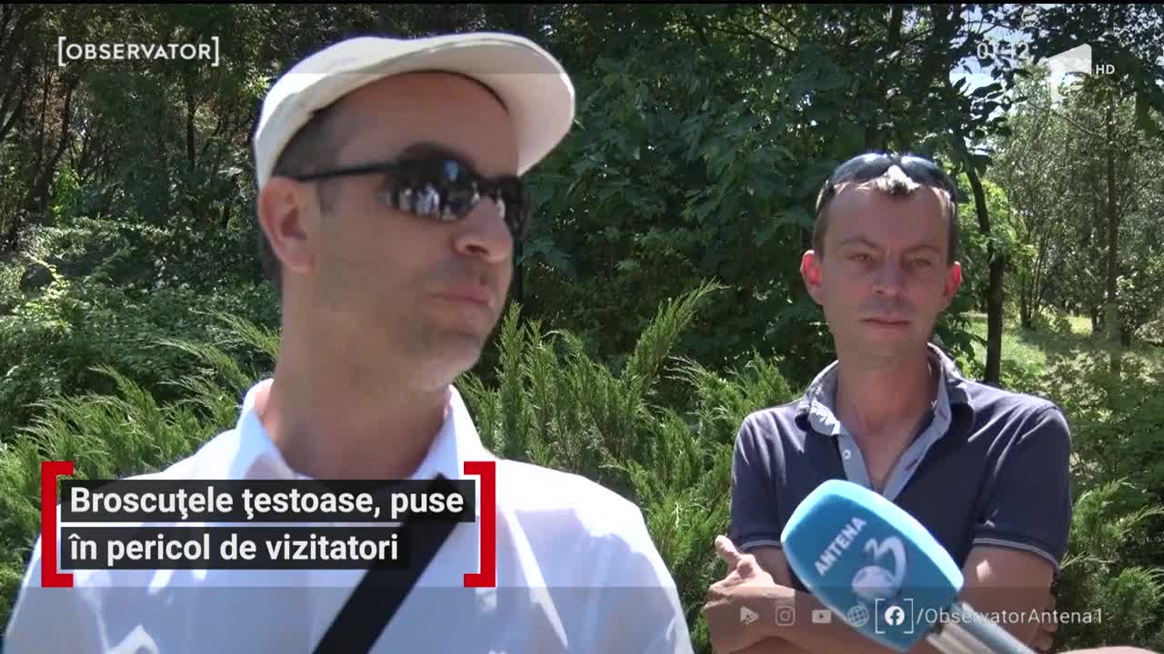 Broscuțele țestoase, &icirc;n pericol! La Grădina Botanică din Galaţi unii vizitatori le confundă şi le pun pe cele de uscat &icirc;n apă