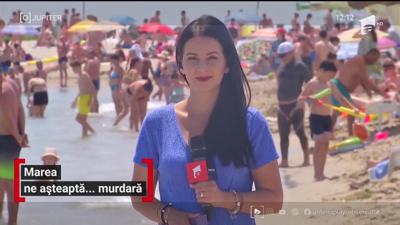 Invazie de alge, pe plajele rom&acirc;nești