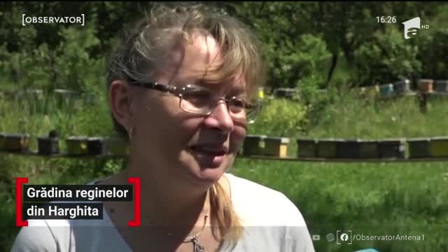 &Icirc;n Hunedoara o familie de apicultori a creat Grădina Reginelor