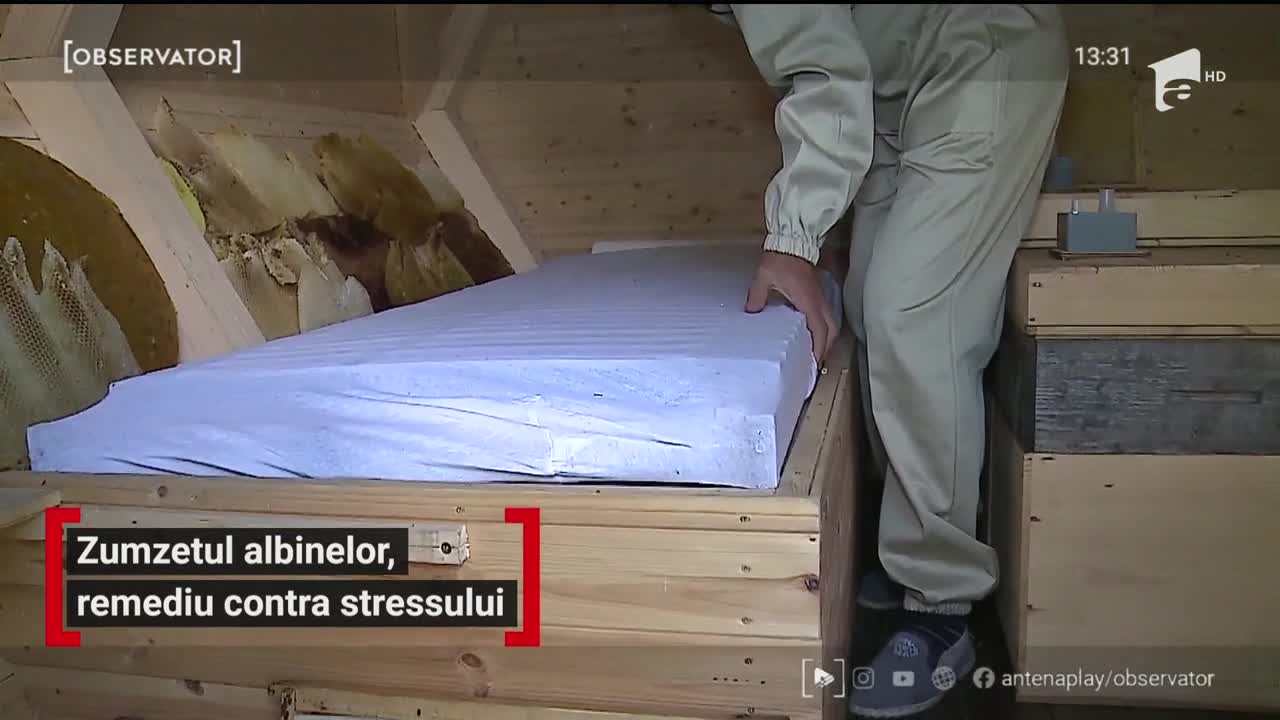 Un apicultor din Mureș a pus pe picioare o afacere vindecătoare cu albine