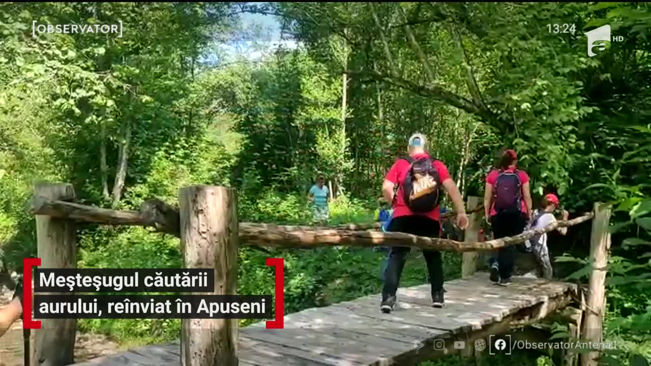 Meșteșugul căutării aurului, re&icirc;nviat &icirc;n Apuseni