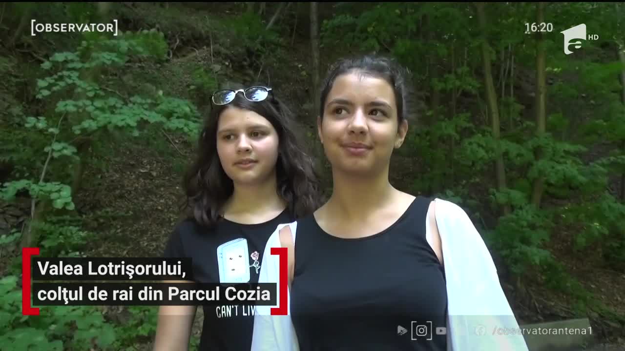 Valea Lotrişorului, colț de rai &icirc;n Parcul Naţional Cozia