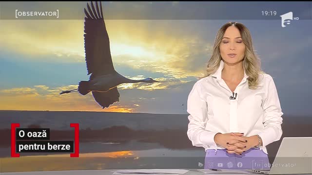 &Icirc;n singura localitate din Rom&acirc;nia &icirc;n care străzile sunt numerotate cu cifre romane, berzele au devenit acum atracţia principală