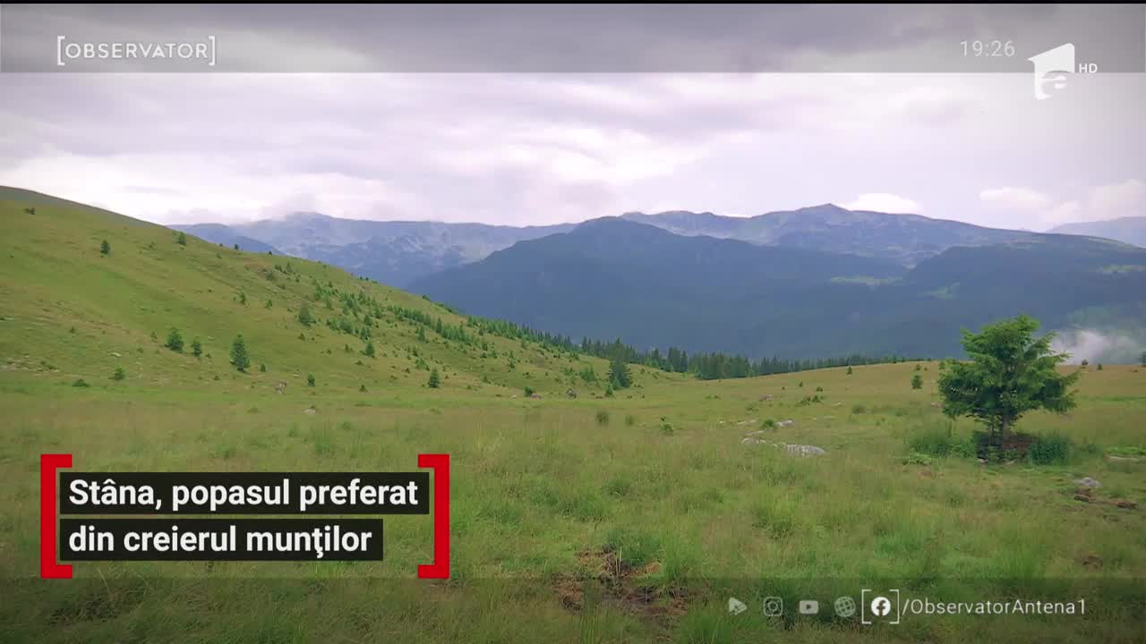 St&acirc;na, popasul preferat al turiștilor din creierul munților