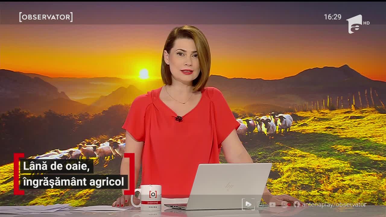 L&acirc;nă de oaie, &icirc;ngrășăm&acirc;nt agricol