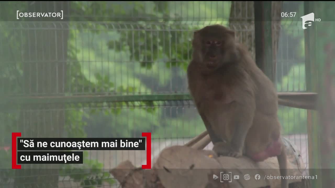 &Icirc;n cadrul campaniei "Să ne cunoaștem mai bine", Grădina Zoologică din T&acirc;rgu Mureş organizează &icirc;nt&acirc;lniri &icirc;ntre vizitatori şi animale
