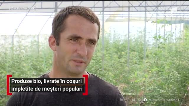 Produse bio, livrate &icirc;n coșuri &icirc;mpletite de meșteri populari