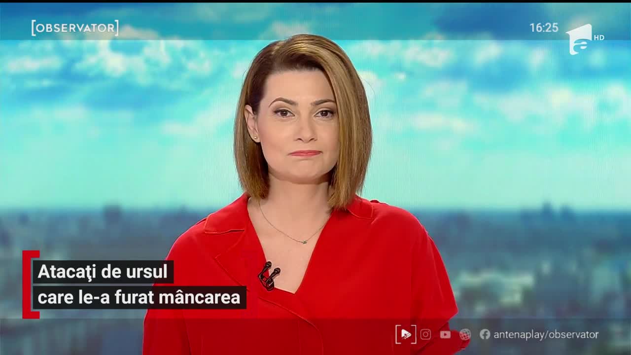 Atacați de ursul care le-a furat m&acirc;ncarea