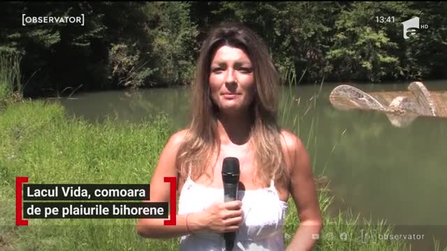 Peisaj de poveste &icirc;n Rom&acirc;nia. &Icirc;n judeţul Bihor se află lacul de acumulare Vida