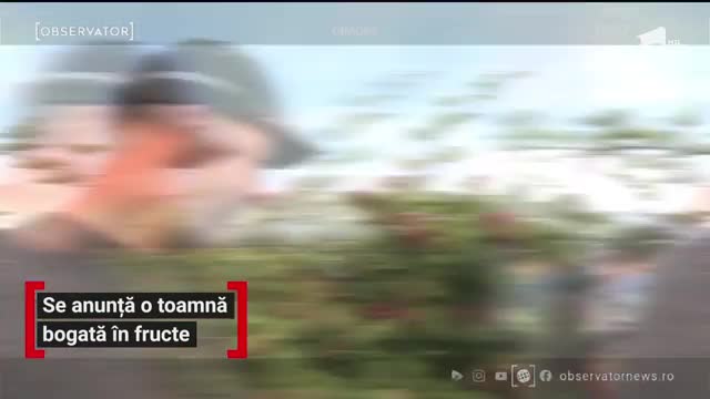 Se anunță o toamnă bogată &icirc;n fructe