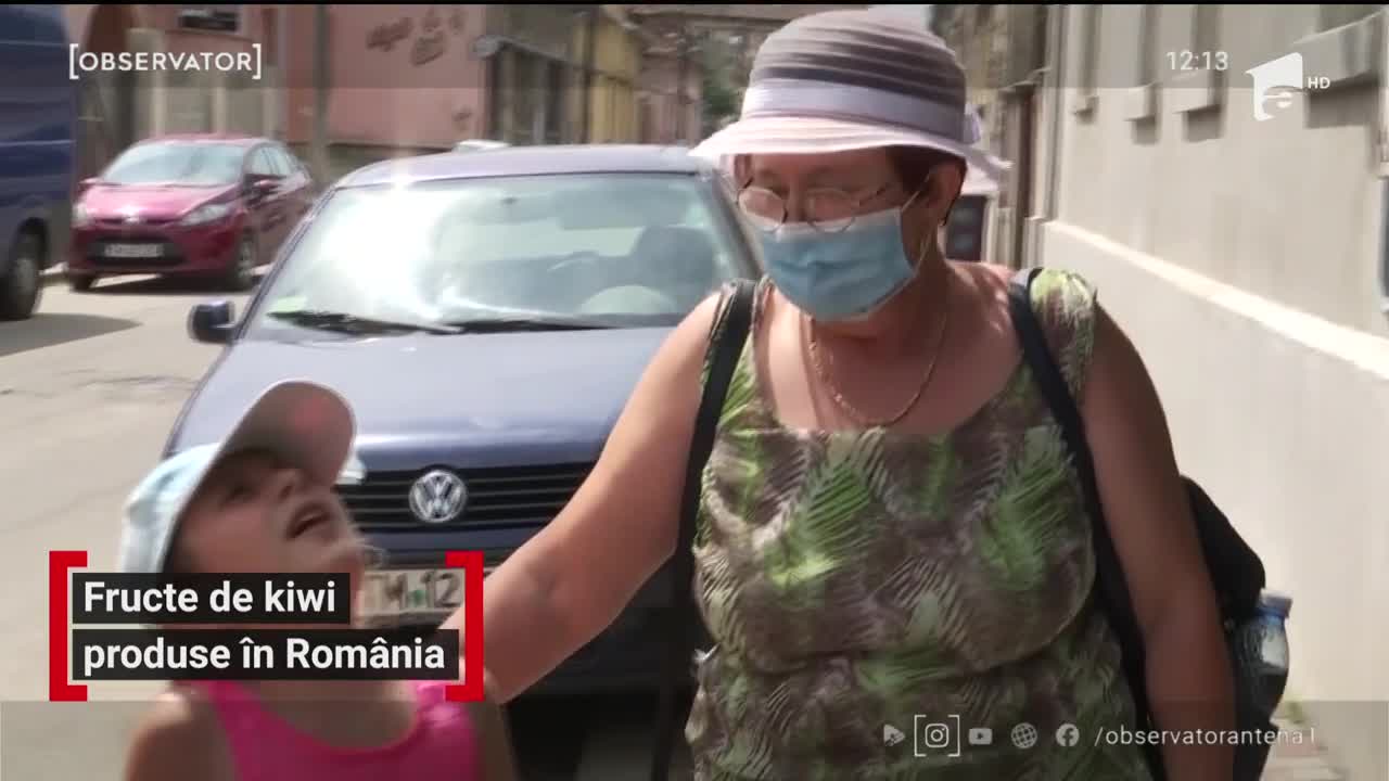 Fructe de kiwi produse &icirc;n Rom&acirc;nia