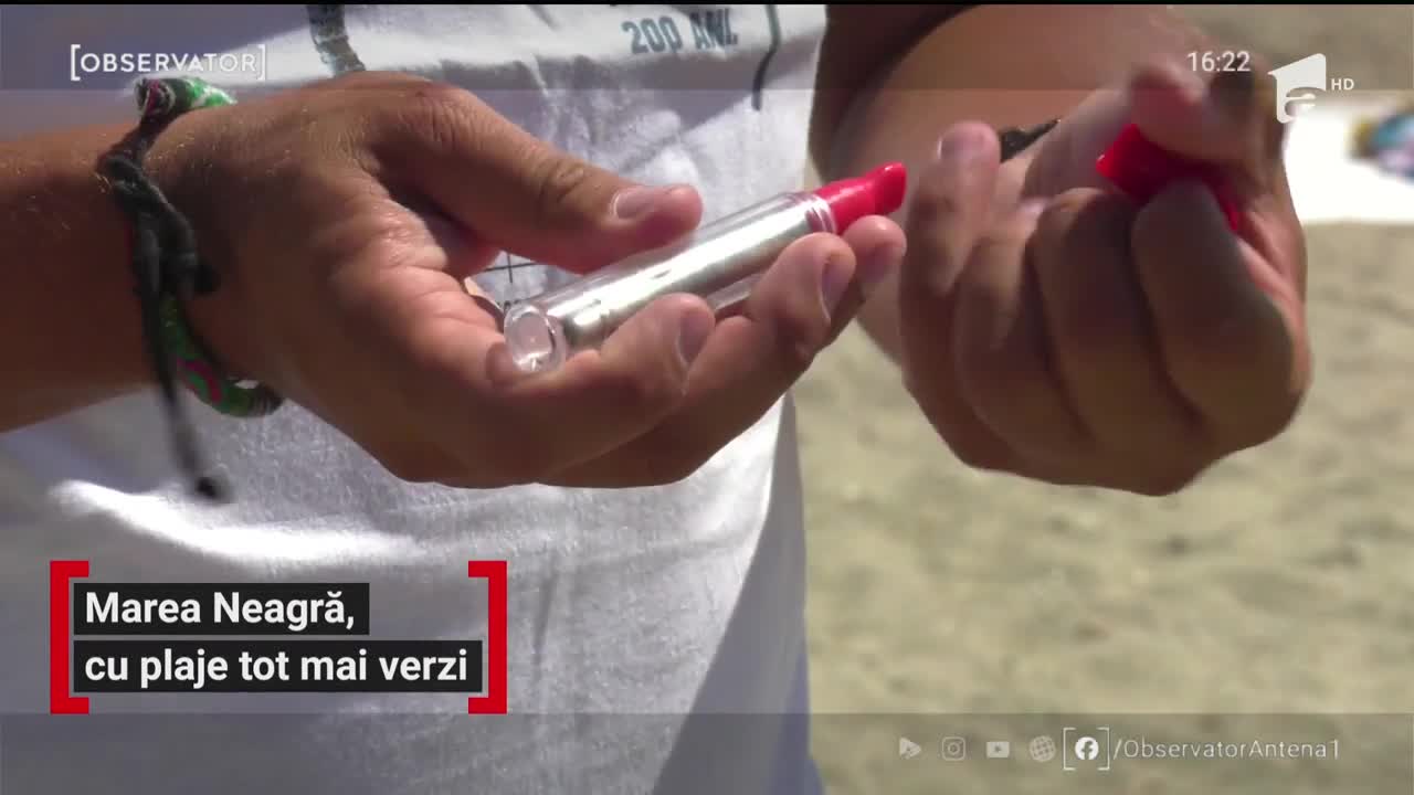 Plajele Mării Negre, &icirc;nverzite de tone de alge aduse de apă