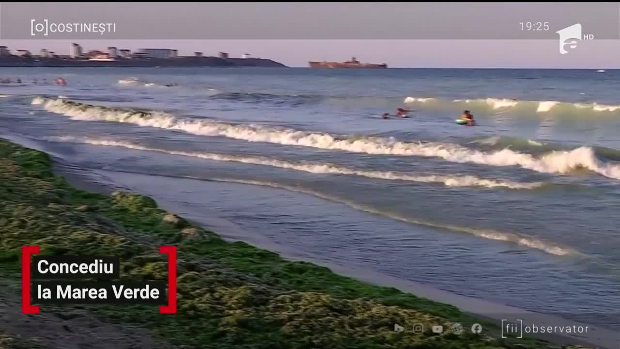 Tone de alge au invadat plajele din Rom&acirc;nia