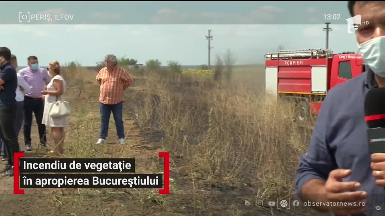 Incendiu de vegetație &icirc;n apropierea Bucureştiului