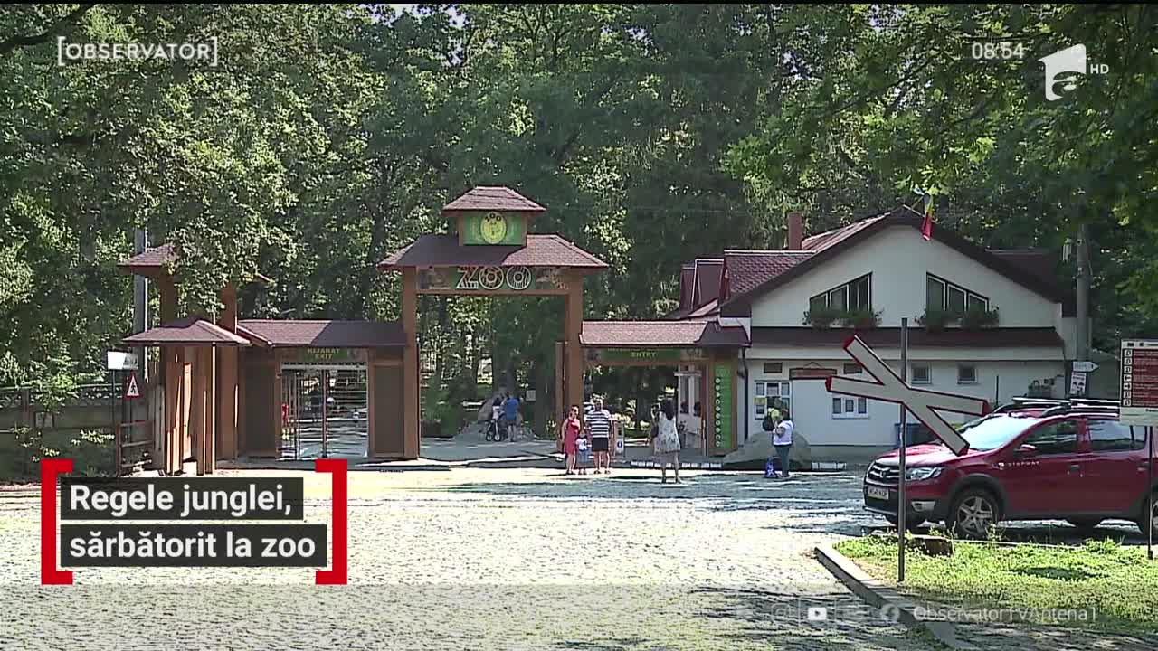Regele animalelor, sărbătorit la Grădina Zoologică din T&acirc;rgu Mureş