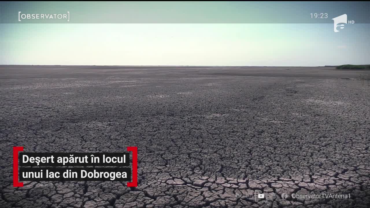Peisaj apocaliptic. Un lac din Delta Dunării a dispărut peste noapte