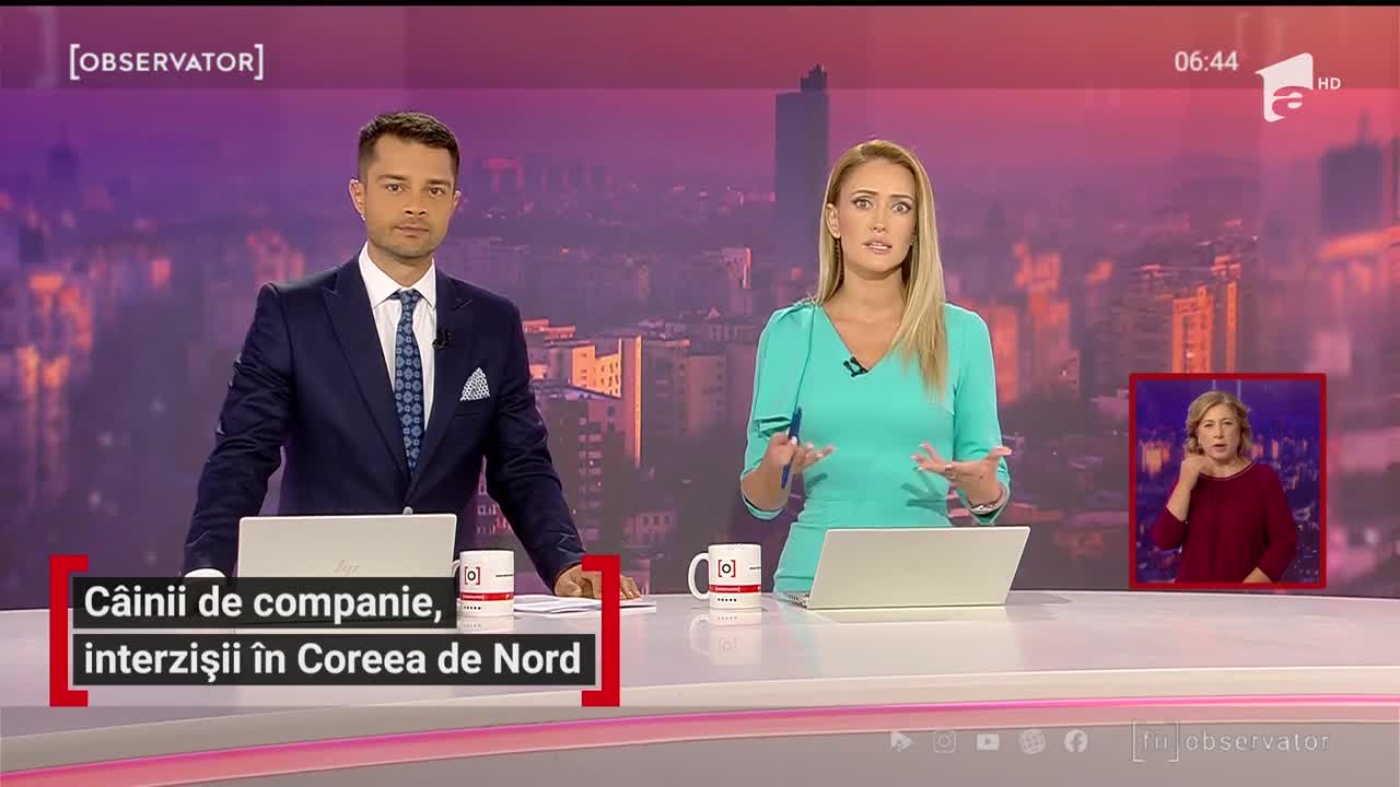 C&acirc;inii de companie, interzișii &icirc;n Coreea de Nord