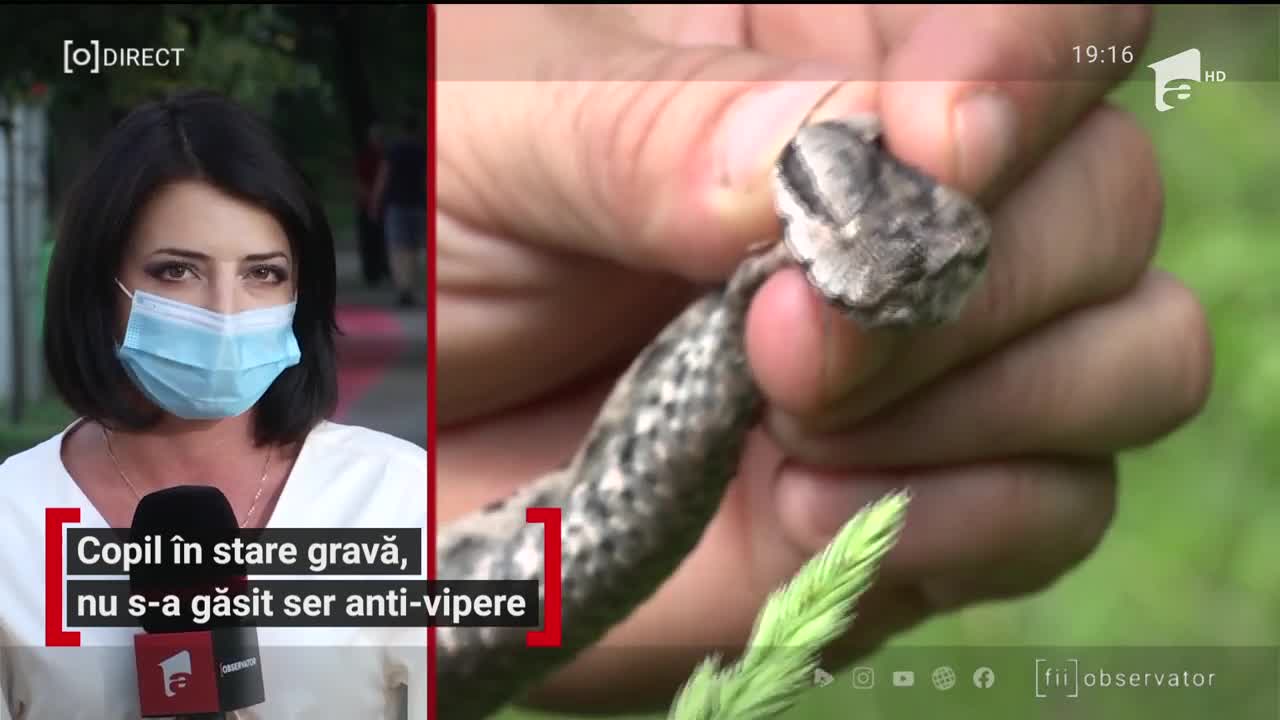Fetiță de cinci, &icirc;n stare gravă după ce a fost muşcată de o viperă. A primit serul antiviperin abia după c&acirc;teva ore