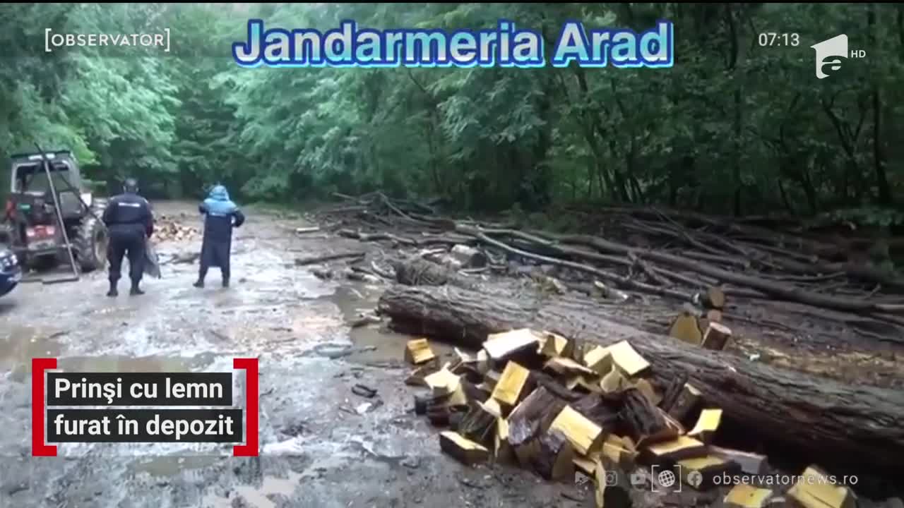 Prinși cu lemn furat &icirc;n depozit