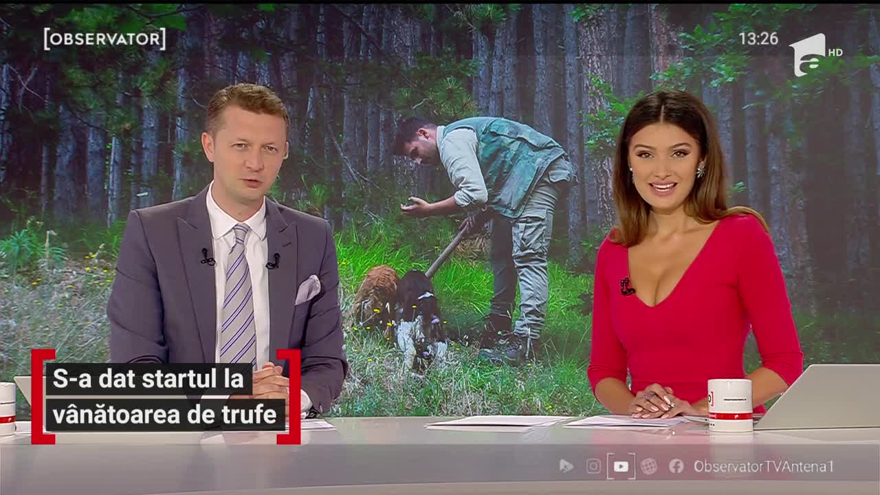 Start la v&acirc;nătoarea de trufe, &icirc;n localitatea Achita din judeţul Mureş