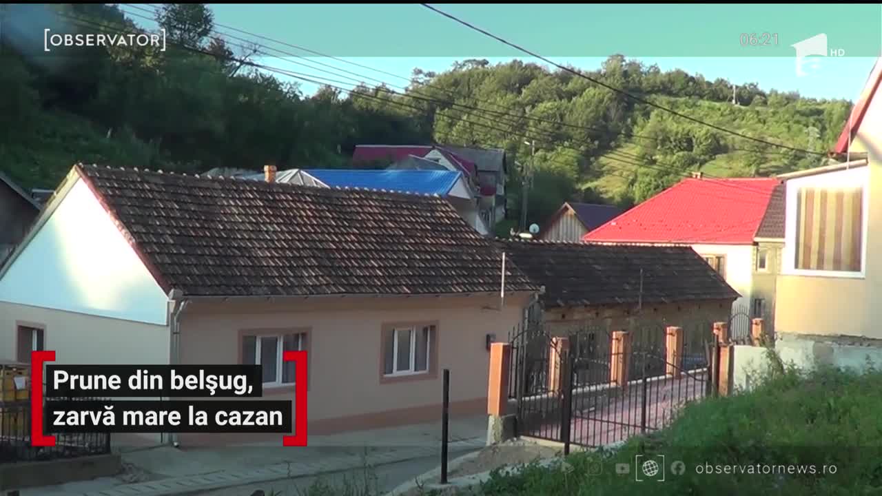 Țuica de prune &icirc;i ţine sănătoşi şi energici pe localnicii din Banat