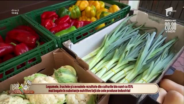 Fructele și legumele bio, aliați pentru o stare de bine