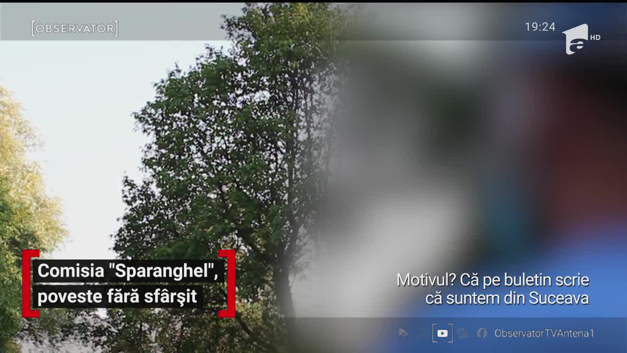 Comisia "Sparanghel" s-a dovedit a fi o mare pierdere de timp. Nimeni nu a putut să explice haosul de pe aeroporturi