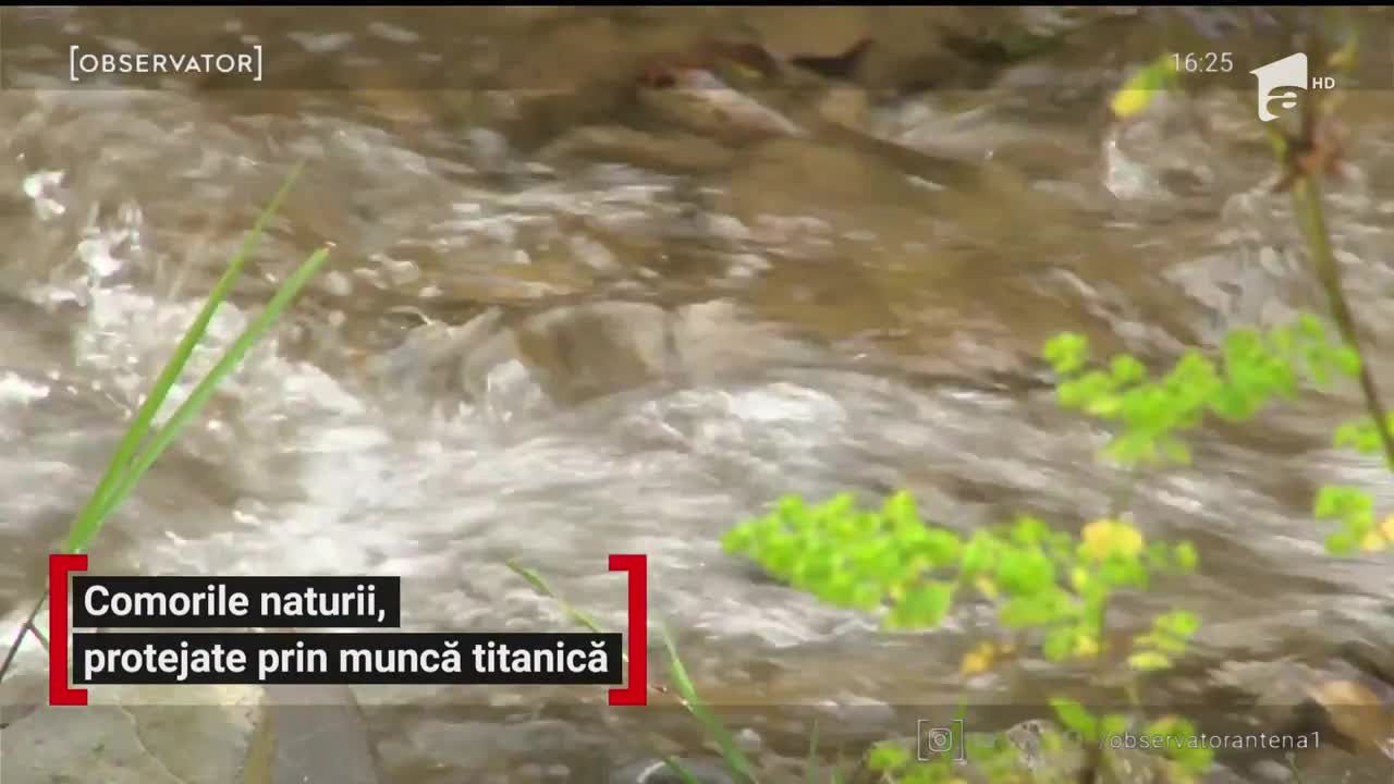 Barajele din zona montană ţin piept vitregiilor naturii şi apără staţiuni &icirc;ntregi de viiturile puternice