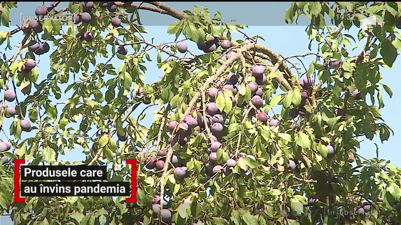 Produsele care au &icirc;nvins pandemia