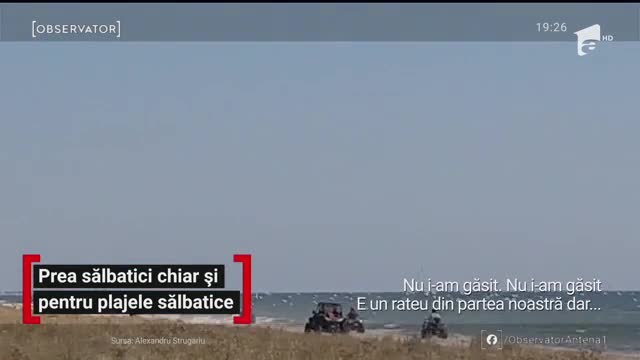 Prea sălbatici chiar și pentru plajele sălbatice