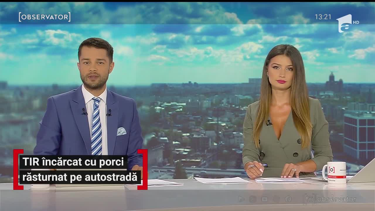 TIR &icirc;ncarcat cu porci răsturnat pe Autostrada Bucureşti-Piteşti