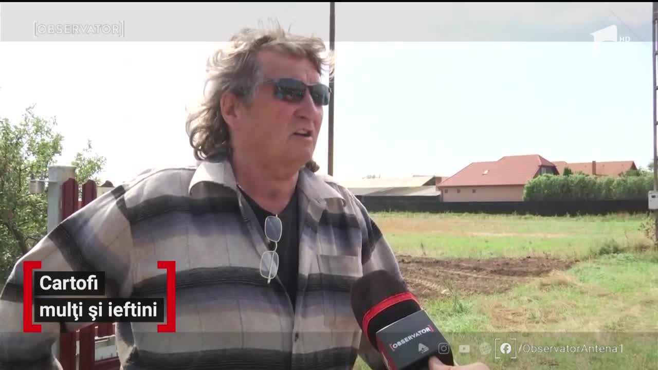 Cartofi mulți și ieftini. Nici &icirc;n supermaketuri nu mai sunt la fel de căutaţi