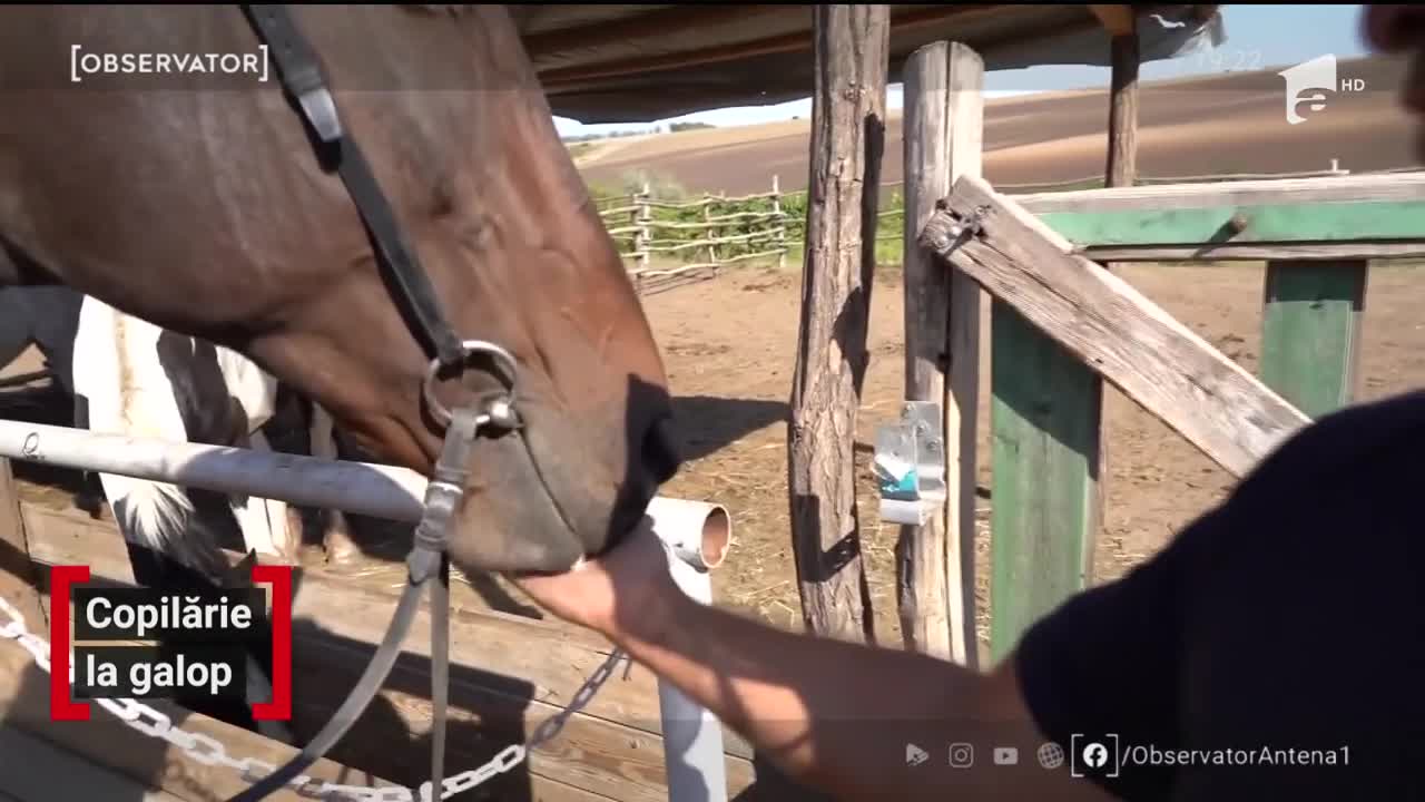 Copilărie la galop
