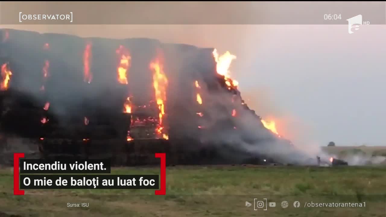 Un incendiu puternic la c&acirc;ţiva kilometri de Arad