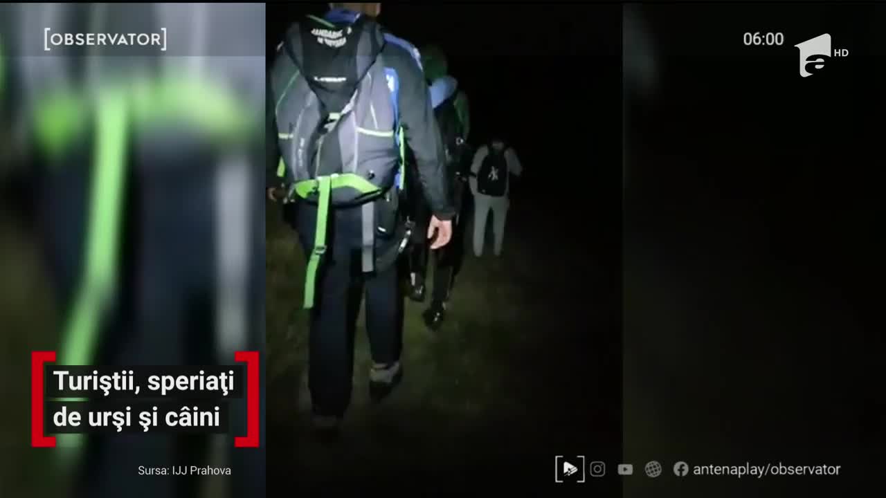 Turiști atacați de c&acirc;ini pe Valea Prahovei